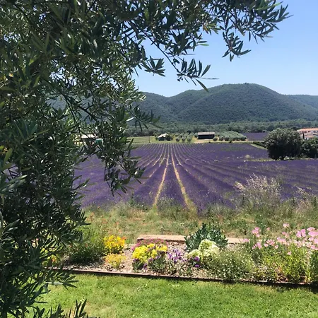The View * Aix-en-Provence